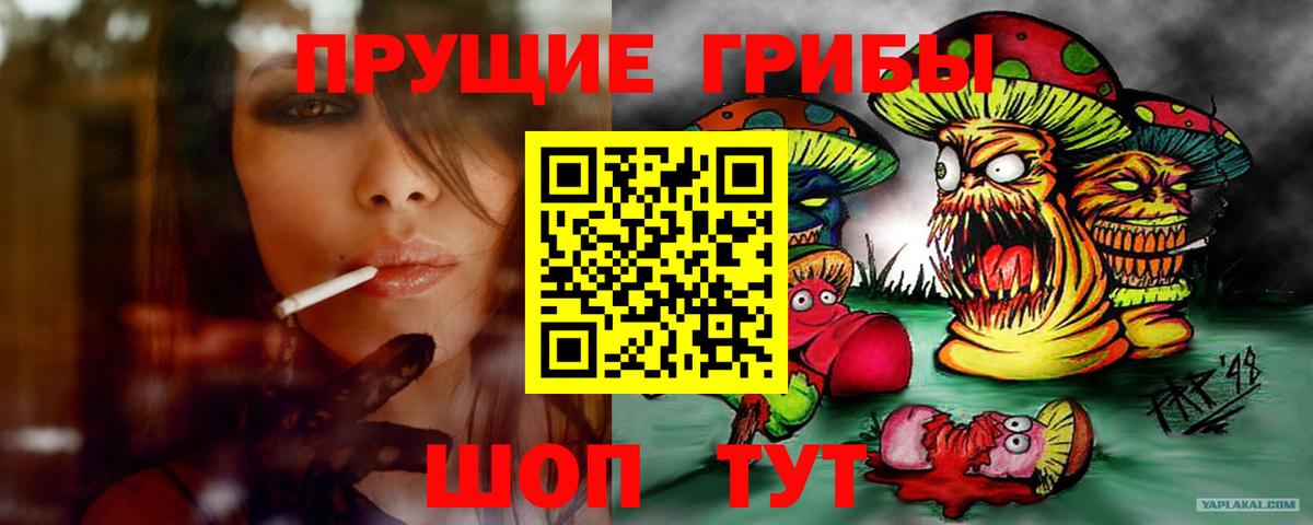 Галлюциногенные грибы Cubensis  Вход с VPN  закладка  Люберцы  Галлюциногенные грибы GOLDEN TEACHER 